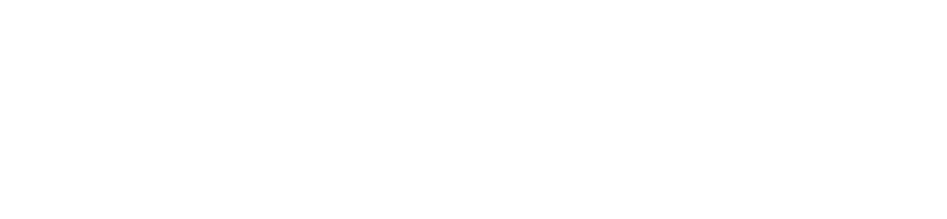 Social care logo